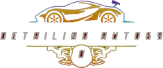 DETAILINGAUTO69